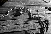 ropes