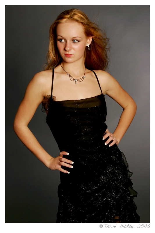 Heather-z8 Model: Heather
� Dave Hickey 2005