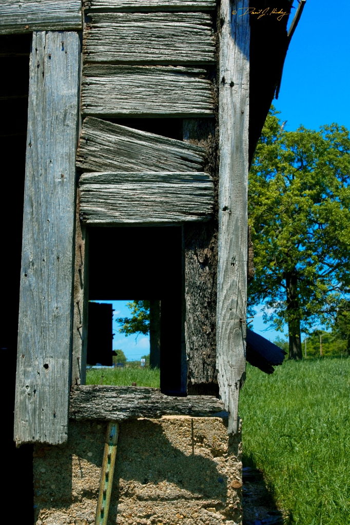 _MG_9616