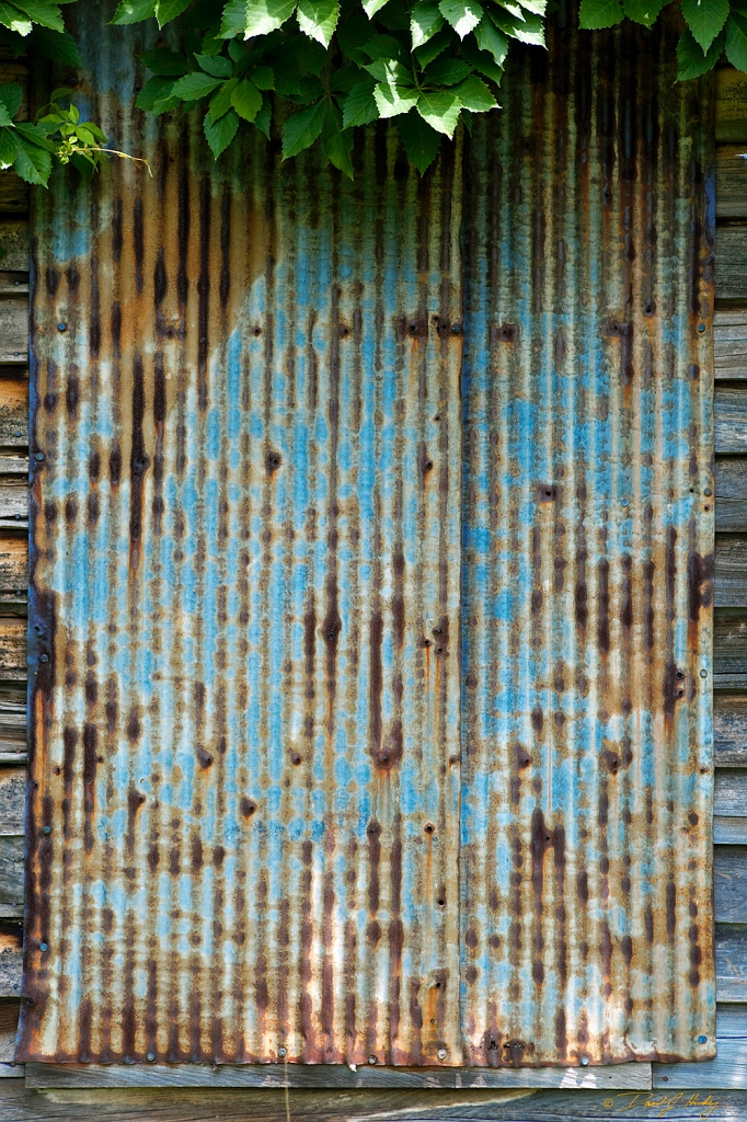 _MG_1148