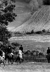 Foxhunt