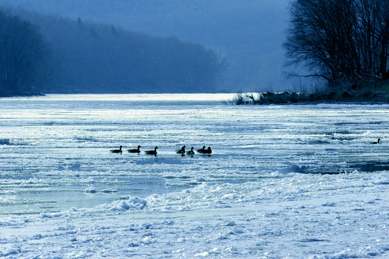 Ice062 Delaware River ice, Dingman's Ferry, PA  � Dave Hickey