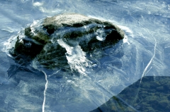 Ice032