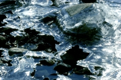Ice037