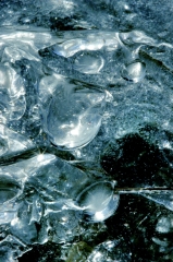 Ice054