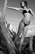  Model: Lauren