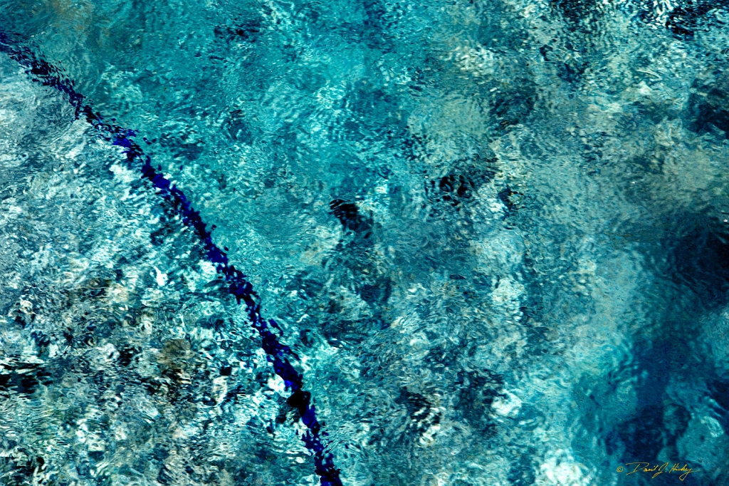 _MG_8336