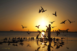 Scenics