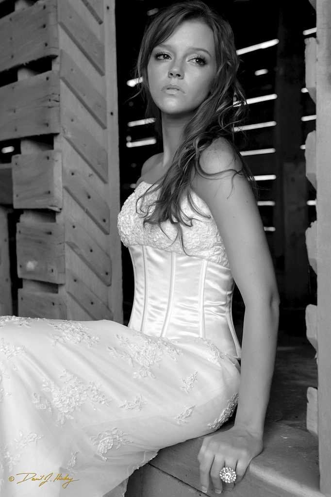 _MG_0650