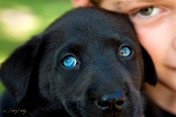  Oakley & Blake