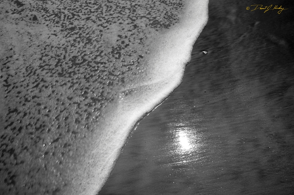DSC_1367