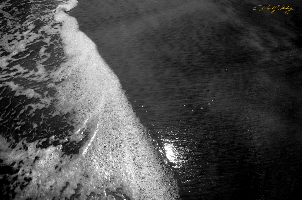 DSC_1369