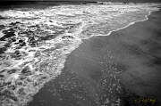 DSC_1364