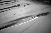  Treat shoot, Outer Banks, NC