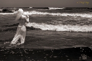  Treat shoot, Outer Banks, NC