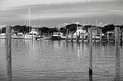  Harbor, Outer Banks, NC