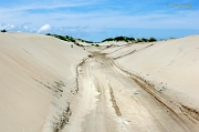 A day at the beach, Outer Banks, NC