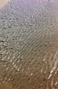  A day at the beach, Outer Banks, NC