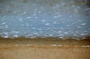  Shoreline, Outer Banks, NC