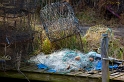 _MG_3004