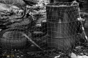 _MG_3023