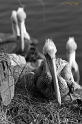 _MG_3054