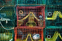 _MG_3135