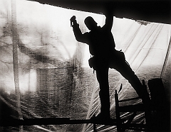 Carpenter