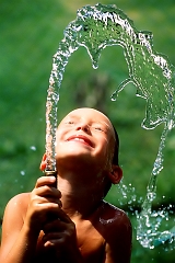 Hose � Dave Hickey
