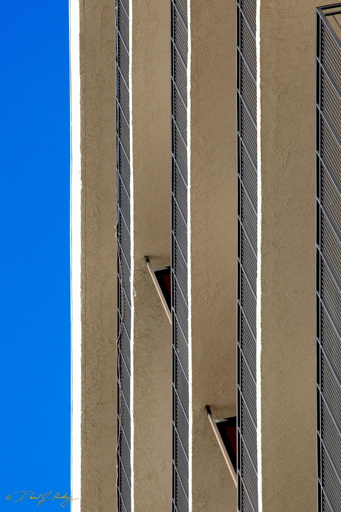 _MG_2436