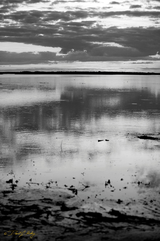 _MG_2988