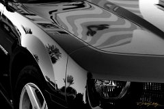  Phil's Camaro