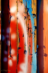  Cocoa Beach mural detail