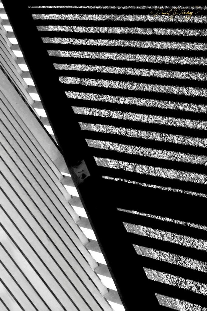 _MG_1629