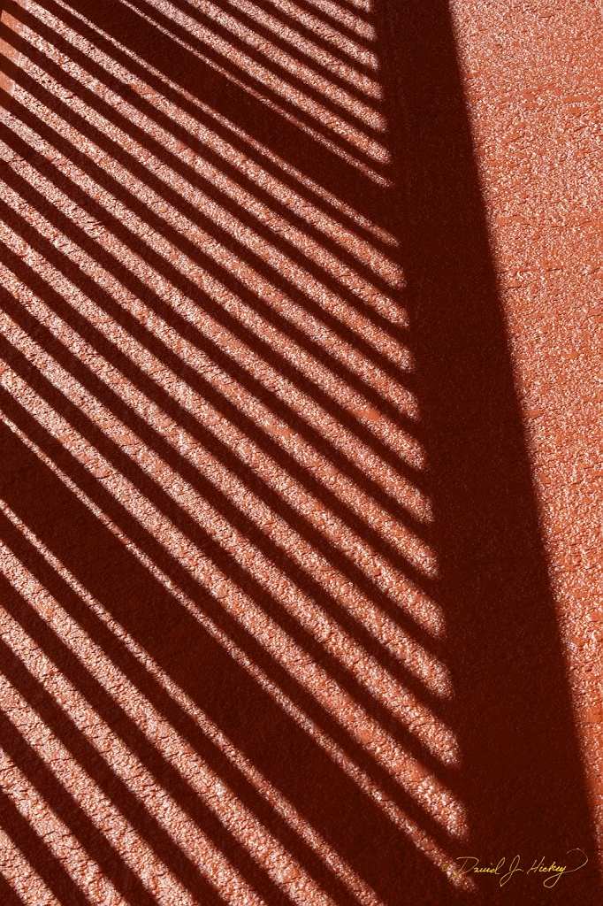 _MG_1630