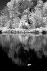 infrared_by_hicspix016