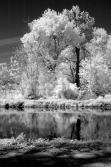 infrared_by_hicspix017