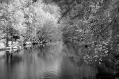 infrared_by_hicspix018
