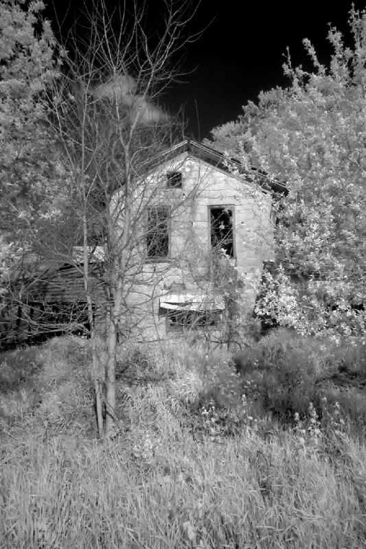 infrared_by_hicspix011 Infrareds