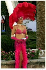 Vegas10