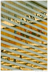 Vegas45