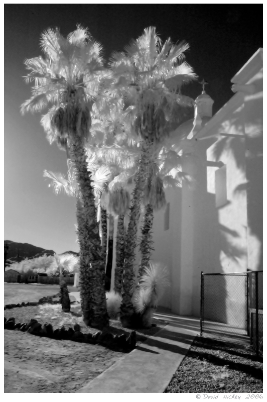 Infrared22 Palms & church in Ajo, Arizona