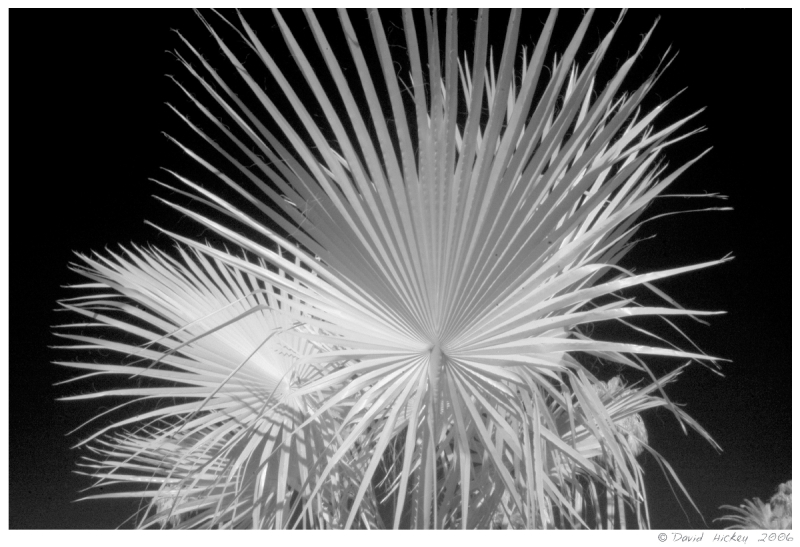 Infrared23 Plant, Ajo, Arizona