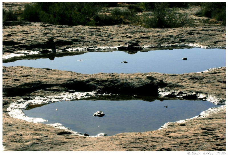 Southwest12 Puddles, Arches National Park, Utah
