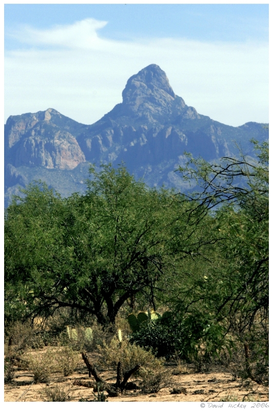 Southwest95 Sacred mountain of the Papago Tribe, near Selles, Arizona