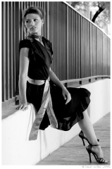 Ginger14 Model: Ginger