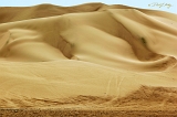 Dumont Dunes
