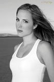  Model: Taylor