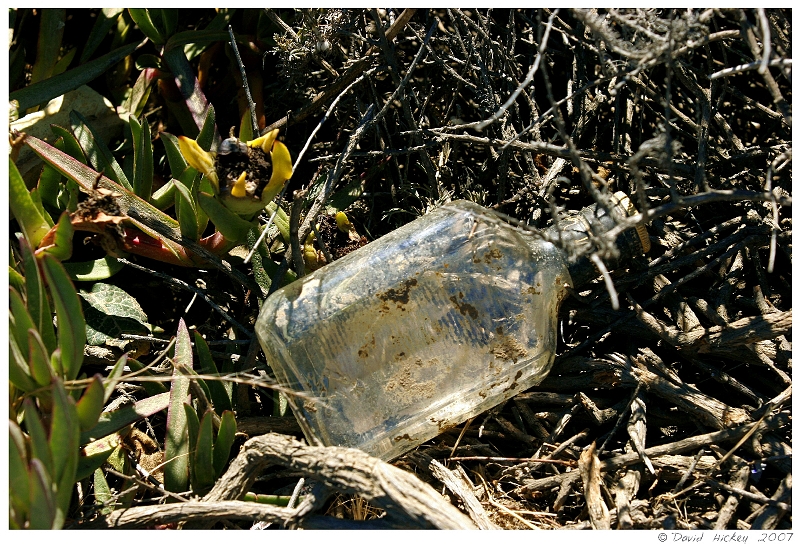 Scenics003 Discarded bottle, along Highway 1