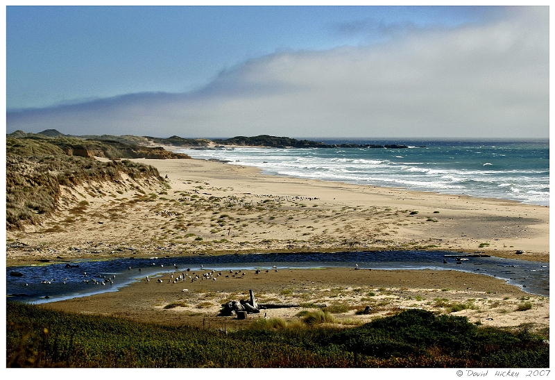 Scenics020 Beach, ocean and fog, along Highway 1